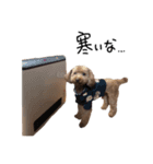 くっきーらんど（個別スタンプ：3）