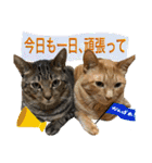 Johnny ＆ Chocola ❻（個別スタンプ：2）