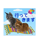Johnny ＆ Chocola ❻（個別スタンプ：5）