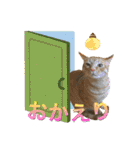 Johnny ＆ Chocola ❻（個別スタンプ：6）