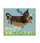 Johnny ＆ Chocola ❻（個別スタンプ：10）