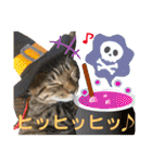 Johnny ＆ Chocola ❻（個別スタンプ：14）