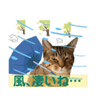 Johnny ＆ Chocola ❻（個別スタンプ：18）