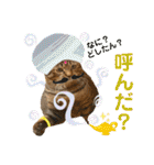 Johnny ＆ Chocola ❻（個別スタンプ：23）