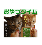 Johnny ＆ Chocola ❻（個別スタンプ：26）