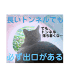 Johnny ＆ Chocola ❻（個別スタンプ：27）