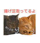 Johnny ＆ Chocola ❻（個別スタンプ：35）