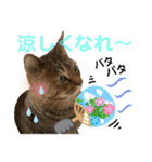 Johnny ＆ Chocola ❻（個別スタンプ：39）