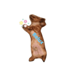 ジャンのすたんぷ（個別スタンプ：4）