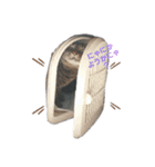 kurumi ＆sizimi（個別スタンプ：3）