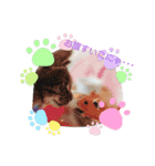 kurumi ＆sizimi（個別スタンプ：10）