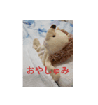 ボッコの日常（個別スタンプ：7）