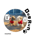 mus'fam（個別スタンプ：9）