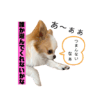 リンとユキのスタンプ（個別スタンプ：2）
