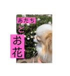 リンとユキのスタンプ（個別スタンプ：5）