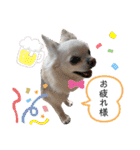 リンとユキのスタンプ（個別スタンプ：7）