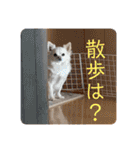 リンとユキのスタンプ（個別スタンプ：8）