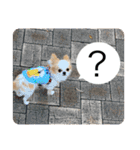 リンとユキのスタンプ（個別スタンプ：10）