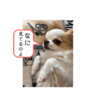 リンとユキのスタンプ（個別スタンプ：12）