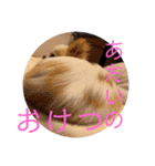 リンとユキのスタンプ（個別スタンプ：13）