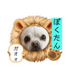 リンとユキのスタンプ（個別スタンプ：16）