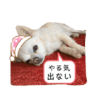 リンとユキのスタンプ（個別スタンプ：18）
