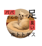 リンとユキのスタンプ（個別スタンプ：21）