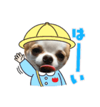 リンとユキのスタンプ（個別スタンプ：23）