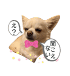 リンとユキのスタンプ（個別スタンプ：26）