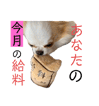 リンとユキのスタンプ（個別スタンプ：27）