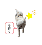リンとユキのスタンプ（個別スタンプ：28）