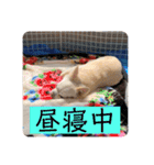 リンとユキのスタンプ（個別スタンプ：32）
