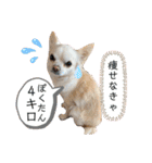 リンとユキのスタンプ（個別スタンプ：33）