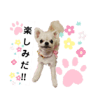 Uchamin.5（個別スタンプ：3）