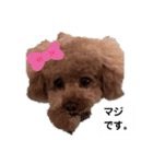 Uchamin.5（個別スタンプ：13）