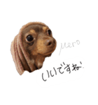 チワックスのめろ（個別スタンプ：9）