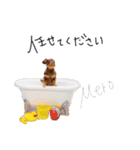 チワックスのめろ（個別スタンプ：18）
