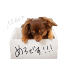 チワックスのめろ（個別スタンプ：22）