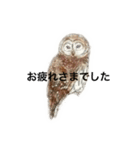 ミミズクのメッセージ（個別スタンプ：5）