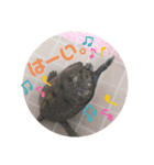 うちのイシガメさん。（個別スタンプ：2）