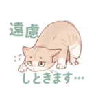 ちゃとらねこのスタンプ（個別スタンプ：7）