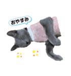 サラちゃんママ（個別スタンプ：1）