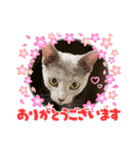 サラちゃんママ（個別スタンプ：5）