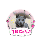 サラちゃんママ（個別スタンプ：6）