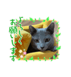 サラちゃんママ（個別スタンプ：7）