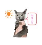 サラちゃんママ（個別スタンプ：8）