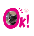 サラちゃんママ（個別スタンプ：10）