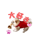 対決・ライオン編（個別スタンプ：6）