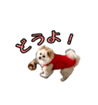 対決・ライオン編（個別スタンプ：7）