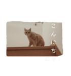 マンチカンのスタンぷ（個別スタンプ：6）